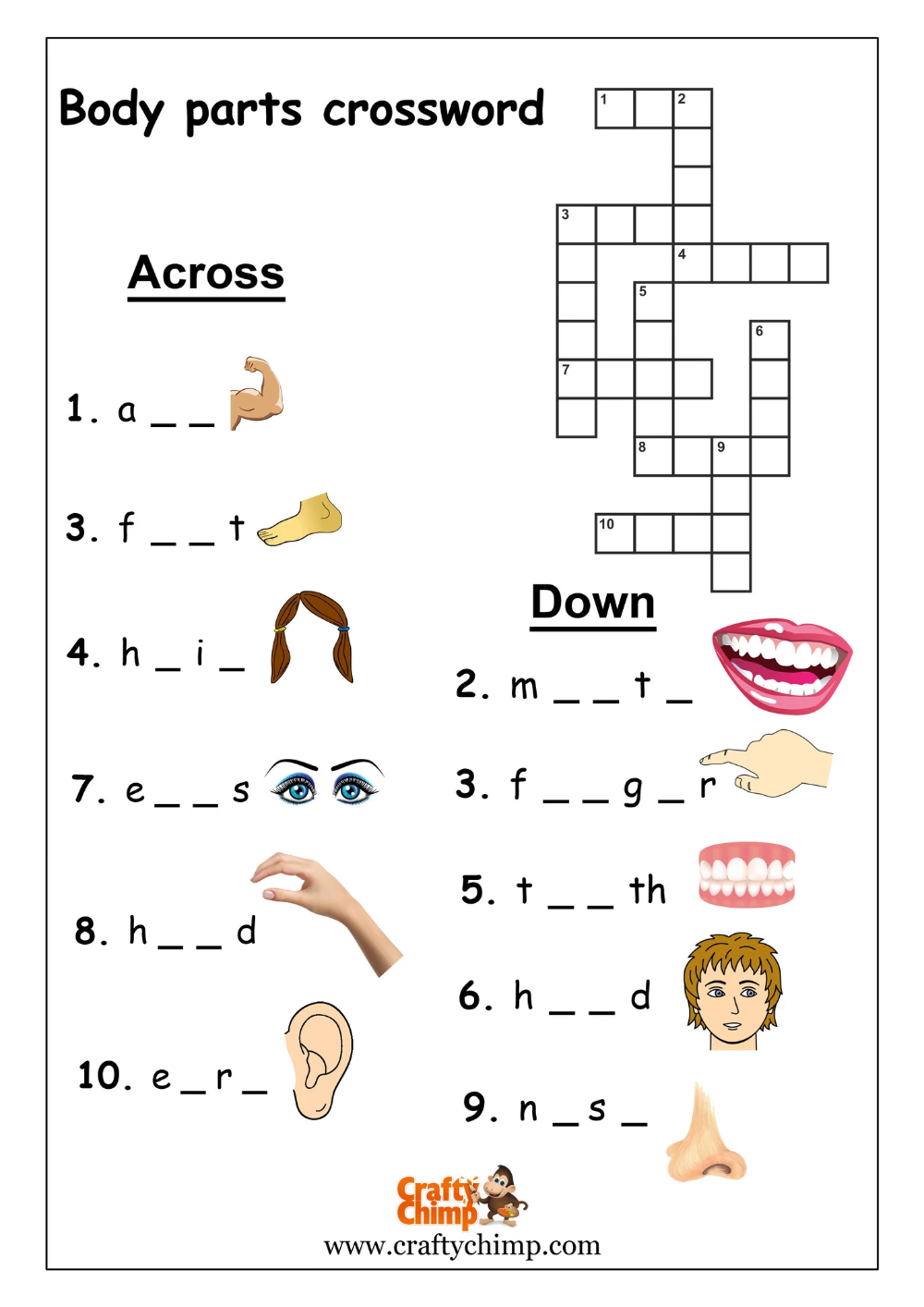 Parts of the Body - Crossword Puzzle - CraftyChimp (A unit of BrainSpa